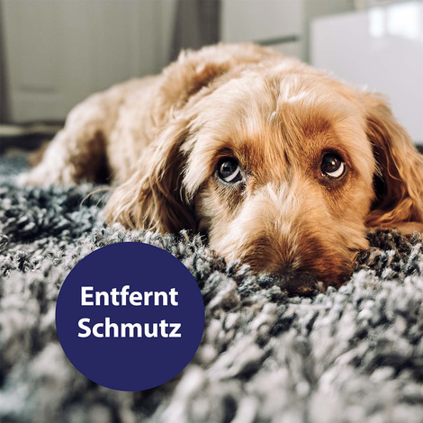 Canosept Augenpflege für Hunde 120ml