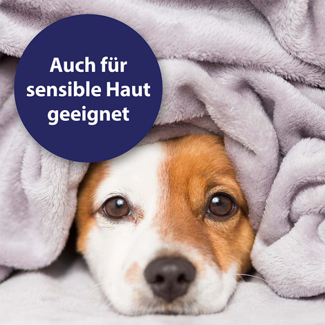 Canosept Augenpflege für Hunde 120ml
