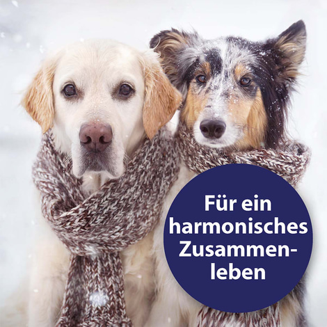 Canosept Home Comfort Beruhigungsspray für Hunde 100ml