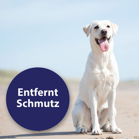 Canosept Ohrreiniger für Hunde 125ml