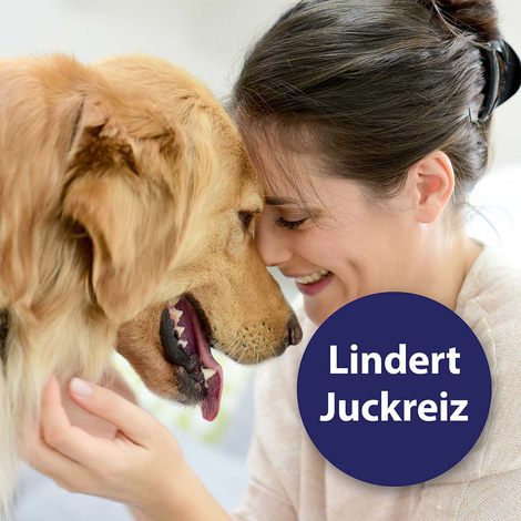 Canosept Ohrreiniger für Hunde 125ml