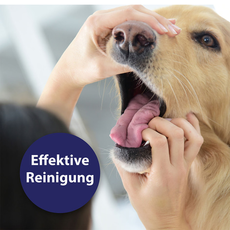 Canosept Zahnpflegespray für Hunde 100ml