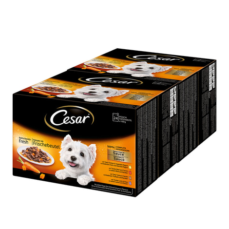 Cesar Feines im Frischebeutel Favoriten in Sauce