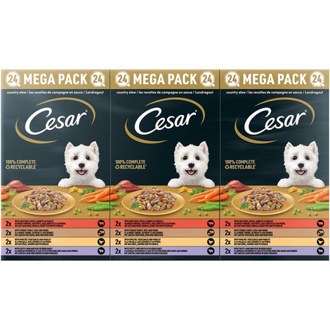 Cesar Landragout 4 Varietäten Schale 24x150g