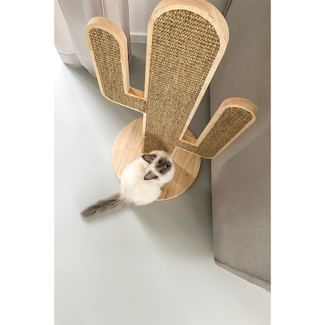 Designed by Lotte Holz Kratzbaum Cactus Oze