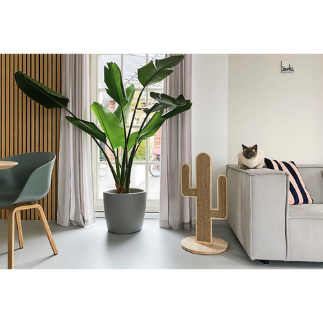 Designed by Lotte Holz Kratzbaum Cactus Oze