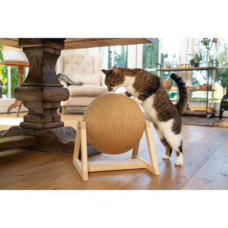 Designed by Lotte Kratzball Xem mit Fuß