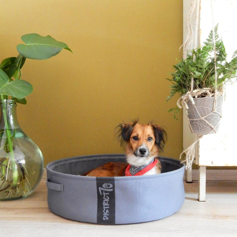 District 70 Hunde- und Katzenbett Lounge dunkelgrau