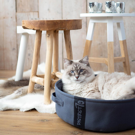 District 70 Hunde- und Katzenbett Lounge dunkelgrau