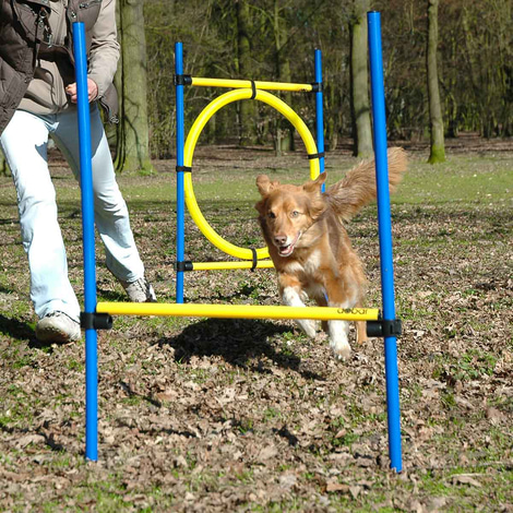 dobar 3-teiliges Agility Sprung-Set inkl. Tragetasche