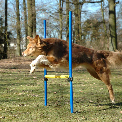 dobar 3-teiliges Agility Sprung-Set inkl. Tragetasche
