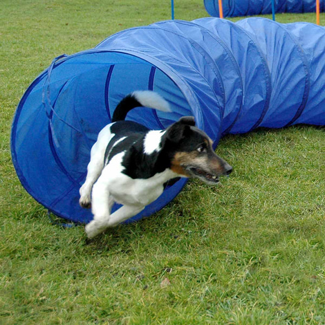 dobar Agility Tunnel 300 cm lang, Ø 50 cm