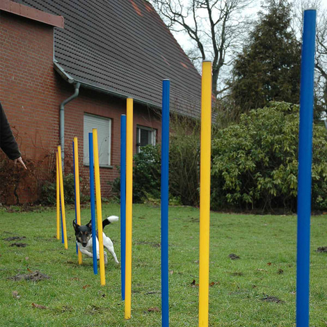 dobar 12-teiliges Agility Slalom Set inkl. Tragetasche