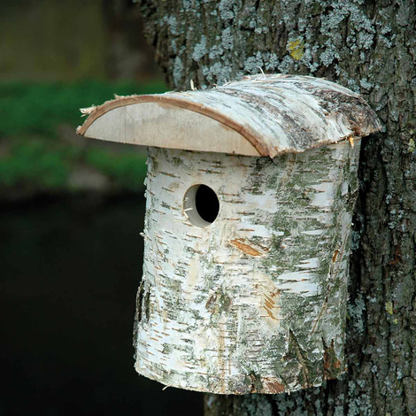 dobar naturbelassener Nistkasten aus Birkenholz
