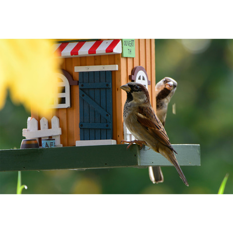 Dobar Deko-Vogelhaus "Café"