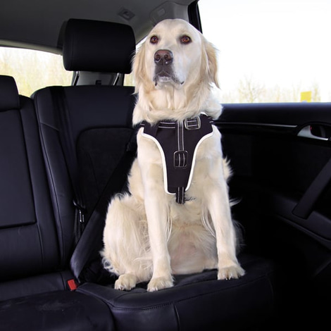 Trixie Dog Protect ochranný postroj pro psy