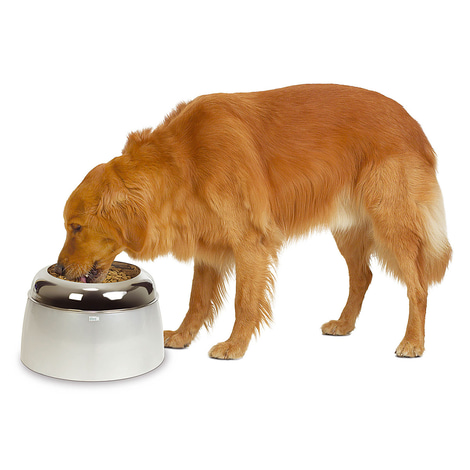 Dogit erhöhter Futternapf für Hunde