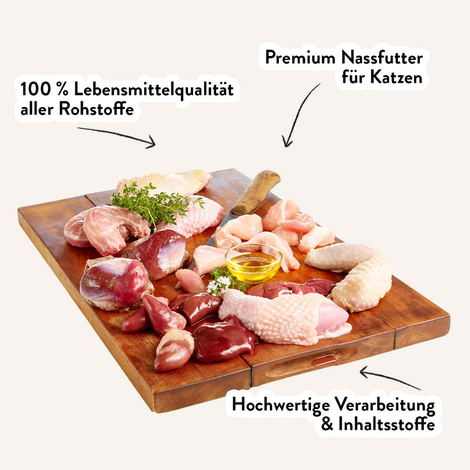 Dogs'n Tiger Labsal Senior Nassfutter Huhn