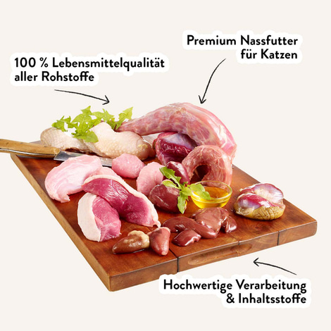 Dogs'n Tiger Nesthäkchen Kitten Nassfutter Geflügel