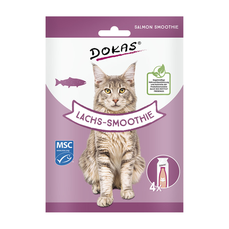 Dokas Lachs-Smoothie