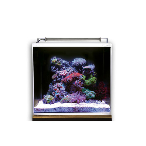 Dupla Marin Meerwasseraquarium Ocean Cube 50 Set