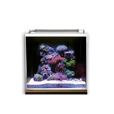 Dupla Marin Meerwasseraquarium Ocean Cube 80 Set