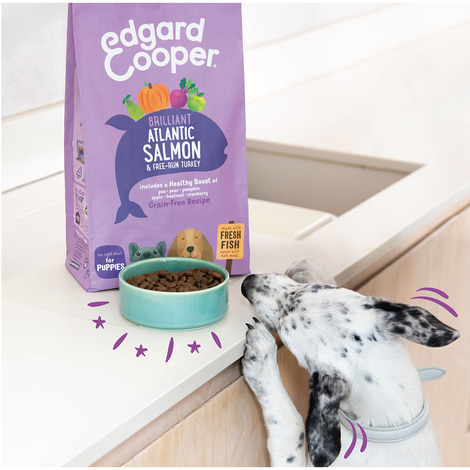 Edgard & Cooper Junior Lachs & Truthahn