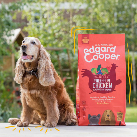 Edgard & Cooper Senior Frisches Huhn & Lachs