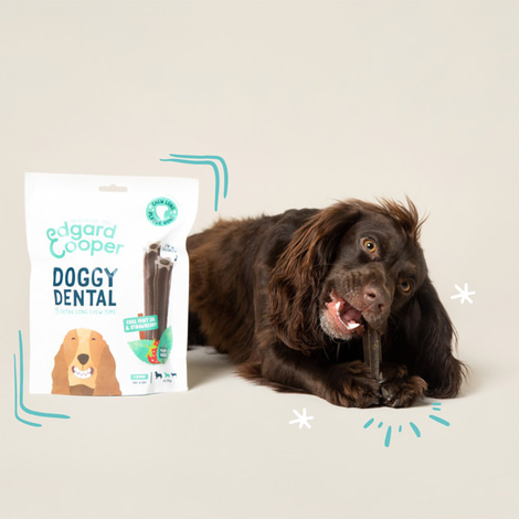 Edgard & Cooper Doggy Dental Erdbeere/Minze M