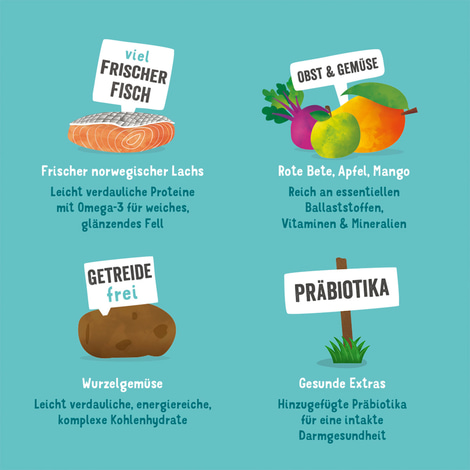 Edgard & Cooper Frischer norwegischer Lachs