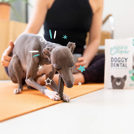 Edgard & Cooper Doggy Dental Apfel/Eukalyptus S