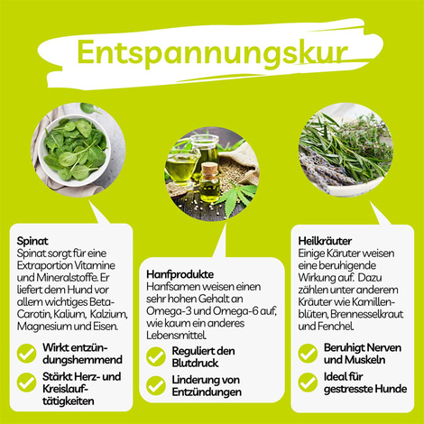 BugKeks Adult grün Spinat & Hanf