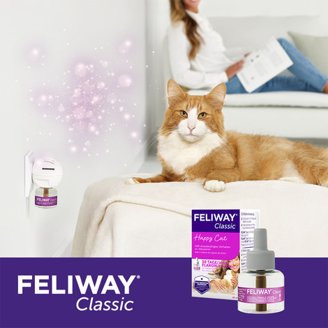 Feliway Classic Verdampfer 1 Monats-Nachfüllflakon 48ml