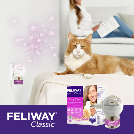 Feliway Classic Verdampfer Happy Home Start-Set 48ml