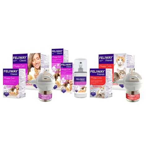 Feliway­­­ Friends Verdampfer Start-Set 48ml