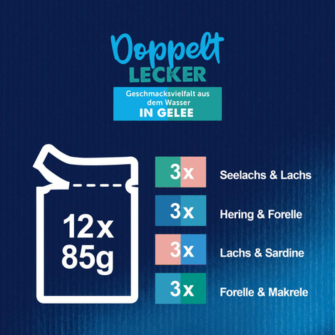 FELIX So gut wie es aussieht Doppelt Lecker in Gelee Geschmacksvielfalt aus dem Wasser 12x85g