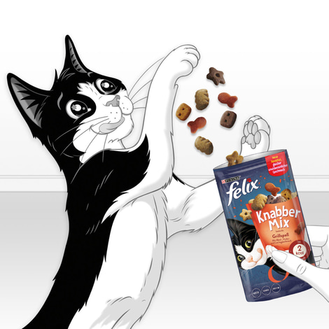 FELIX KnabberMix Grillspaß Katzensnack bunter Mix