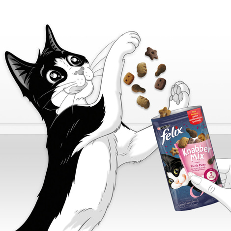 FELIX KnabberMix Picnic Party Katzensnack bunter Mix