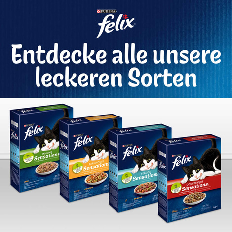 FELIX Seaside Sensations Lachs & Gemüse