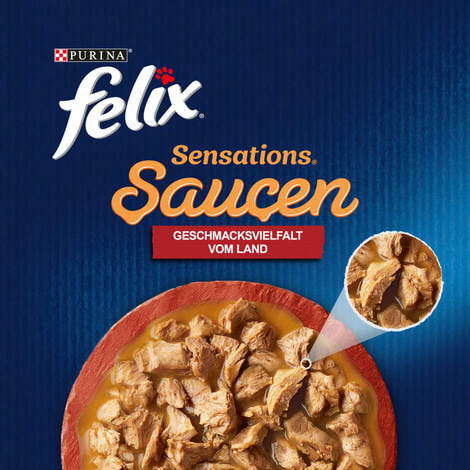 FELIX Sensations Saucen Geschmacksvielfalt vom Land 12x85g