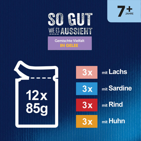 FELIX So gut wie es aussieht in Gelee Senior Gemischte Vielfalt 12x85g