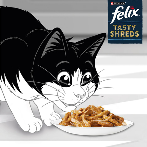 FELIX Tasty Shreds Geschmacksvielfalt vom Land