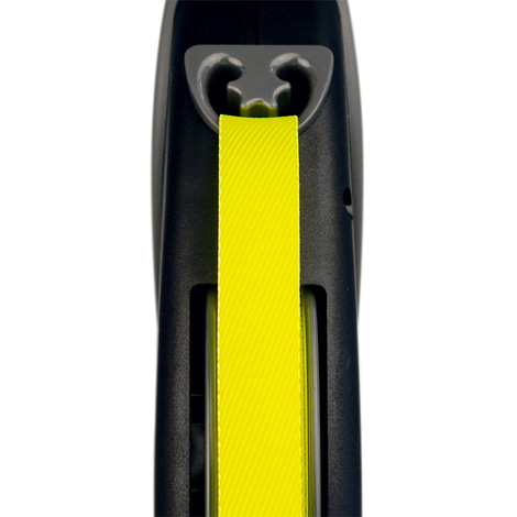 flexi Rollleine Giant Professional L Gurt 10m
