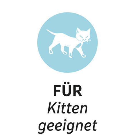 ZooRoyal Schmusekissen mit Katzenminze
