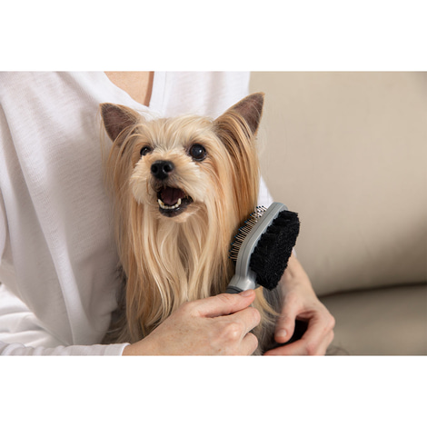 FURminator Doppelbürste für Hund und Katze