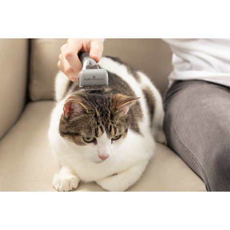 FURminator Entfilzer für Hund und Katze