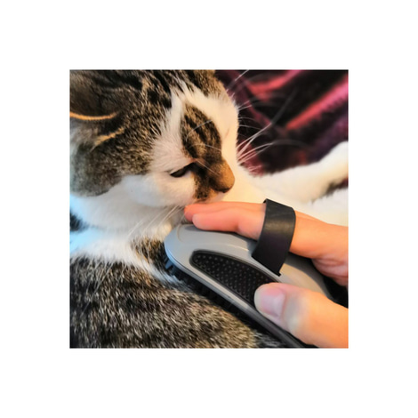 FURminator Striegel für Hunde & Katzen