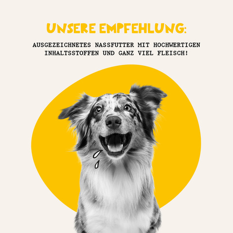 Dogs'n Tiger Fein Gemacht Junior Nassfutter Huhn