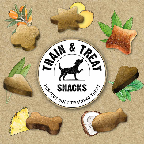 GimDog Train & Treat mit Wild und Salbei