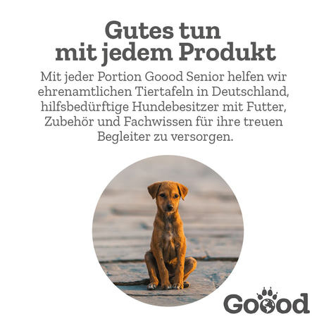 Goood Mini Senior Freilandhuhn & nachhaltige Forelle
